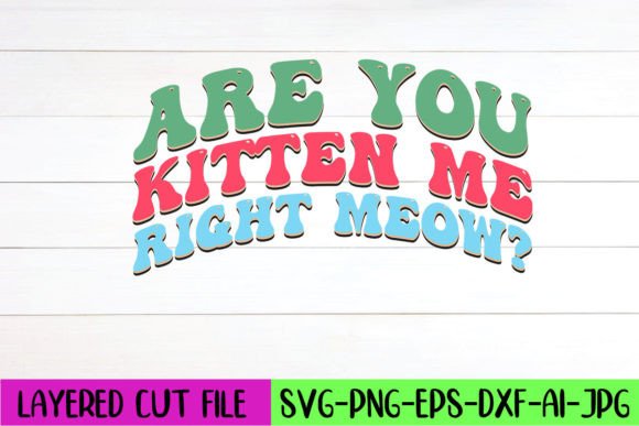Are You Kitten Me Right Meow Retro SVG Review